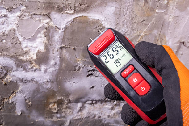 Best Mold Removal Company Near Me  in Folly Beach, SC