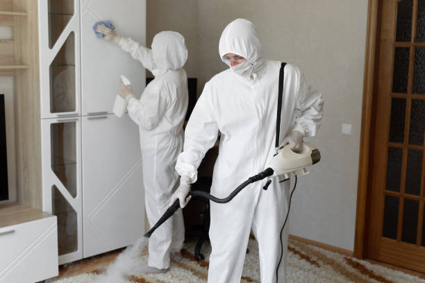 Professional Mold Removal in Folly Beach, SC
