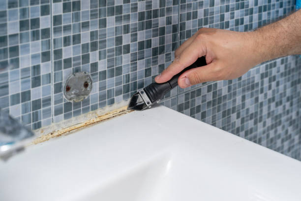 Best Professional Mold Removal  in Folly Beach, SC