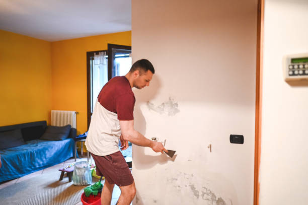 Best Mold Removal Near Me  in Folly Beach, SC