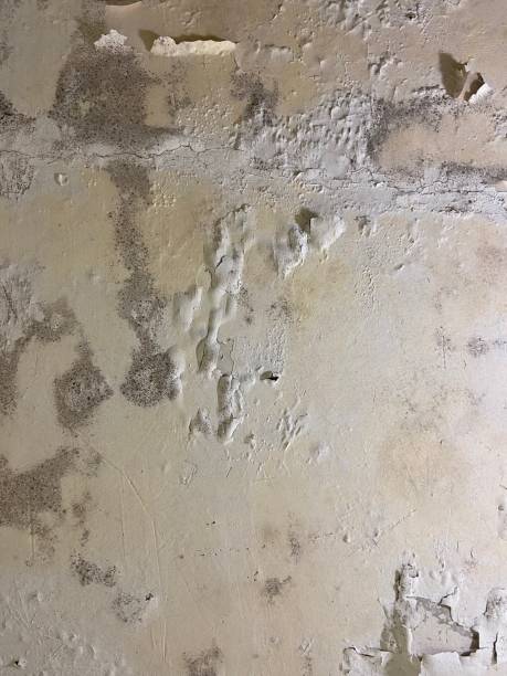 Water Damage Restoration in Folly Beach, SC