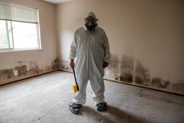Best Office Mold Removal Services  in Folly Beach, SC
